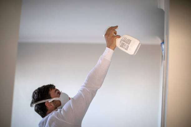 Best Mold Damage Repair  in Hamilton, TX