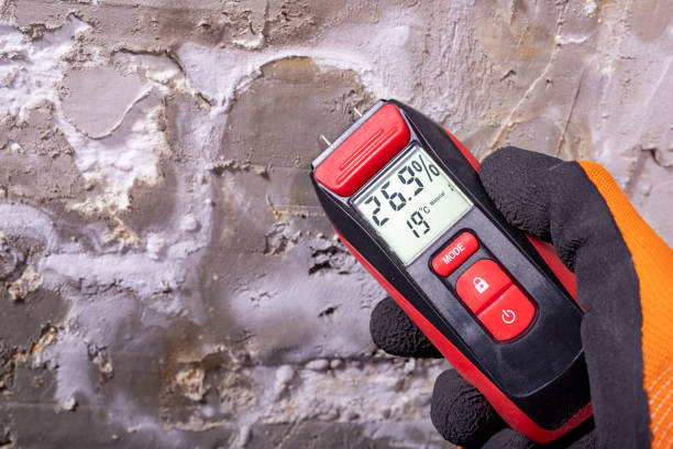 Mold Removal and Inspection in Hamilton, TX